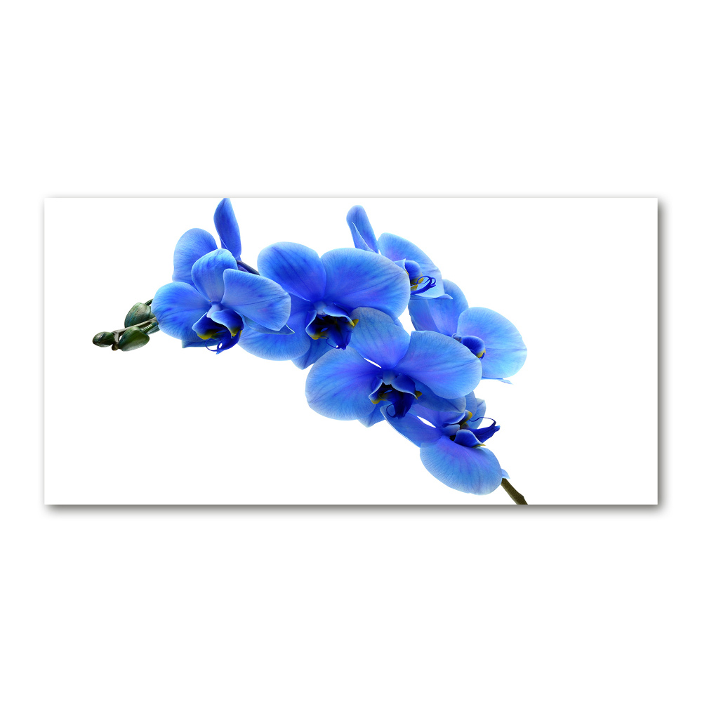 Acrylic wall art Blue orchid