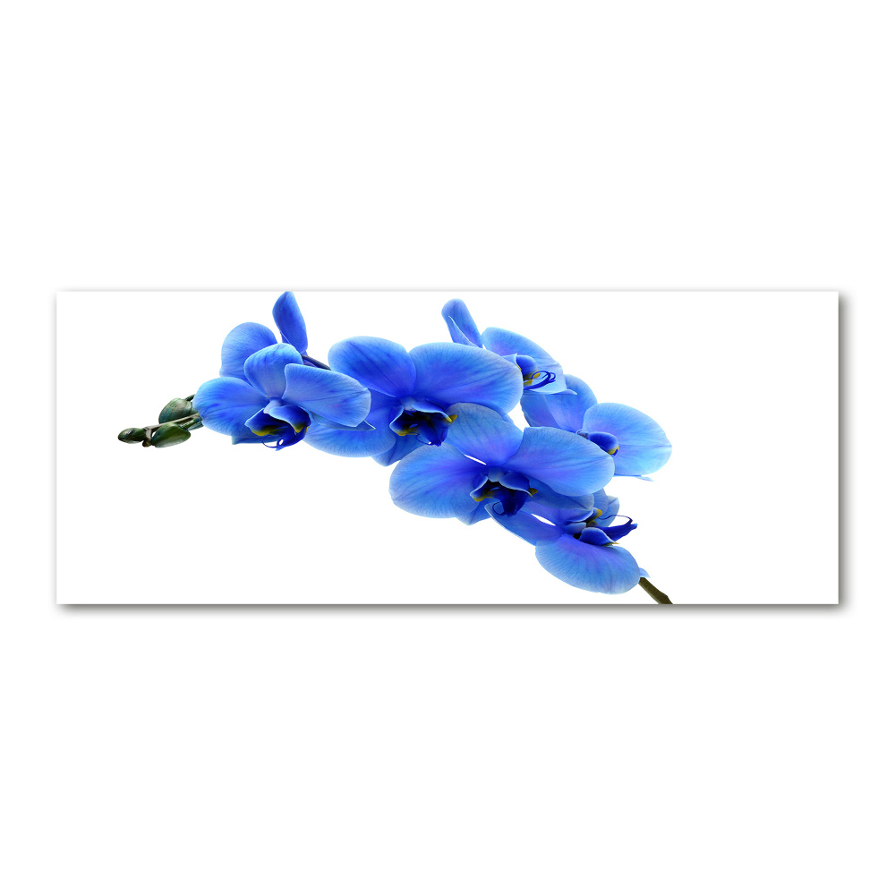 Acrylic wall art Blue orchid