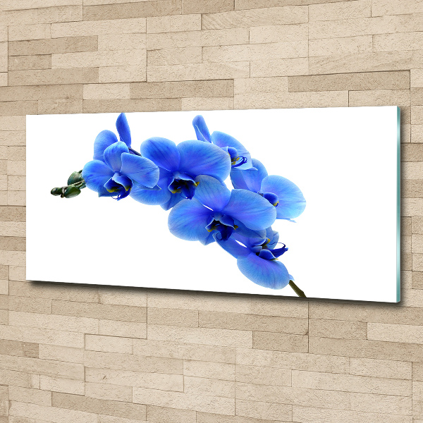 Acrylic wall art Blue orchid