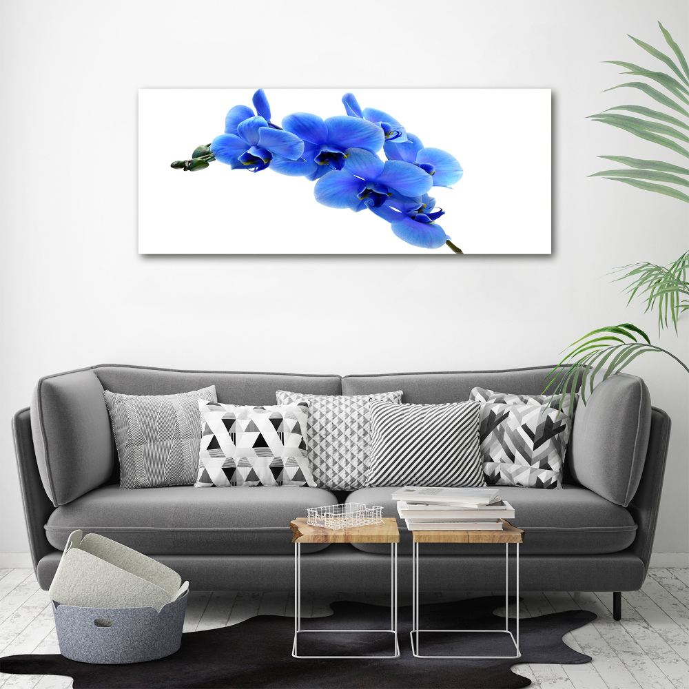 Acrylic wall art Blue orchid