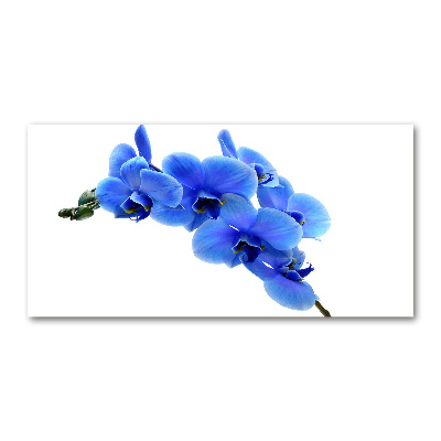 Acrylic wall art Blue orchid