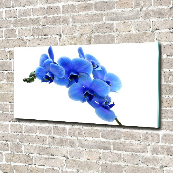 Acrylic wall art Blue orchid