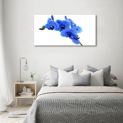 Acrylic wall art Blue orchid