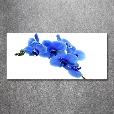 Acrylic wall art Blue orchid