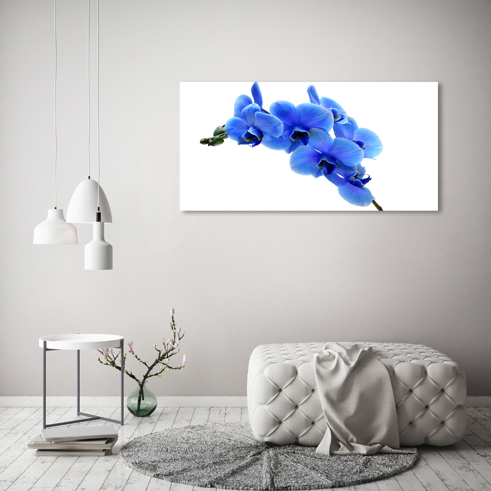 Acrylic wall art Blue orchid