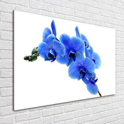 Acrylic wall art Blue orchid