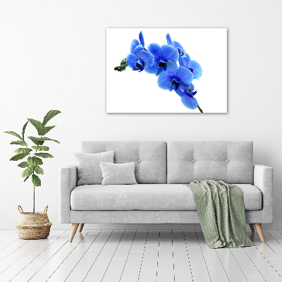 Acrylic wall art Blue orchid