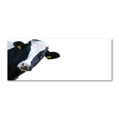 Wall art acrylic Cow