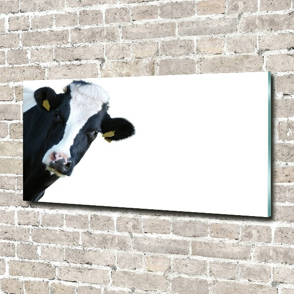 Wall art acrylic Cow