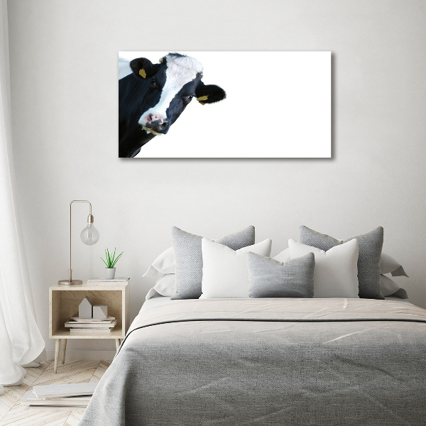 Wall art acrylic Cow