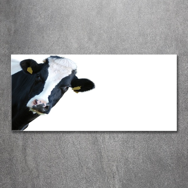 Wall art acrylic Cow