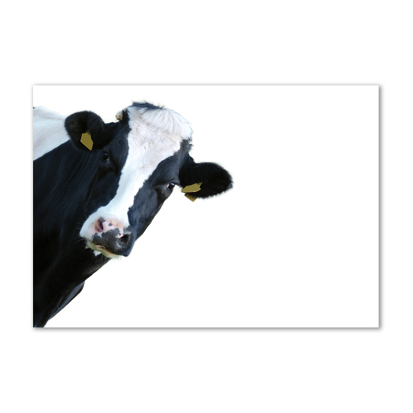 Wall art acrylic Cow