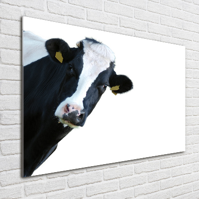 Wall art acrylic Cow