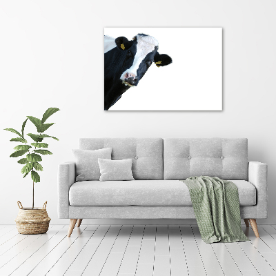 Wall art acrylic Cow