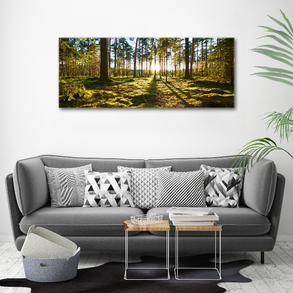 Print on acrylic a pine forest