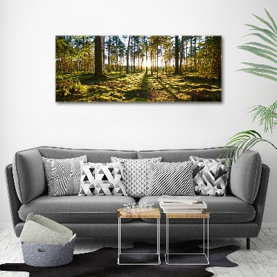 Print on acrylic a pine forest