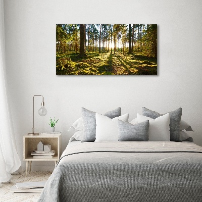 Print on acrylic a pine forest