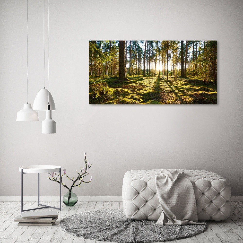 Print on acrylic a pine forest