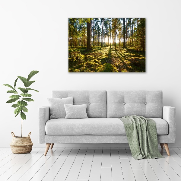 Print on acrylic a pine forest