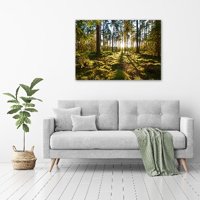 Print on acrylic a pine forest