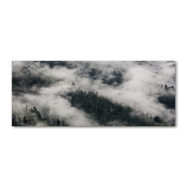 Print on acrylic Fog over the forest