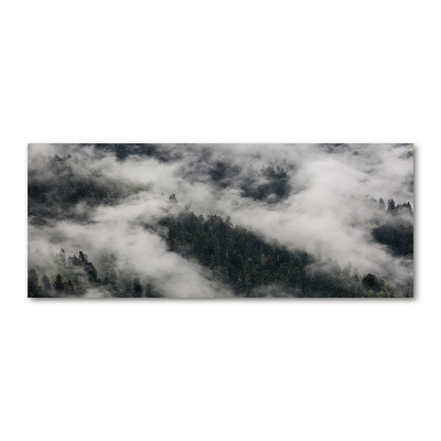 Print on acrylic Fog over the forest