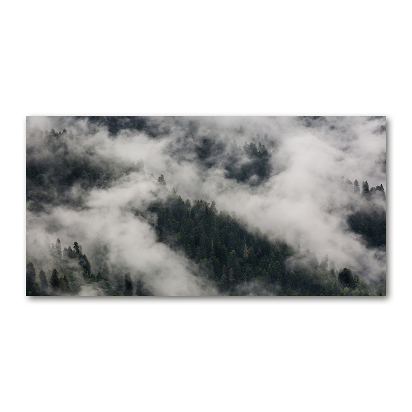 Print on acrylic Fog over the forest