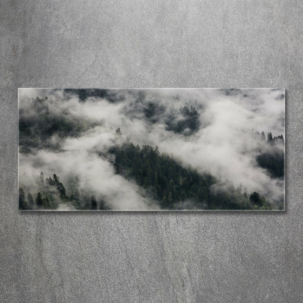 Print on acrylic Fog over the forest