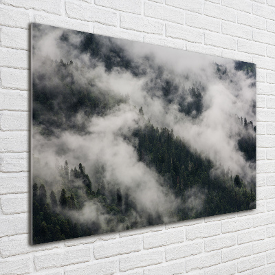 Print on acrylic Fog over the forest