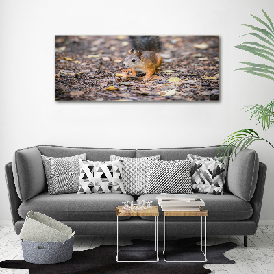 Wall art acrylic Squirrel