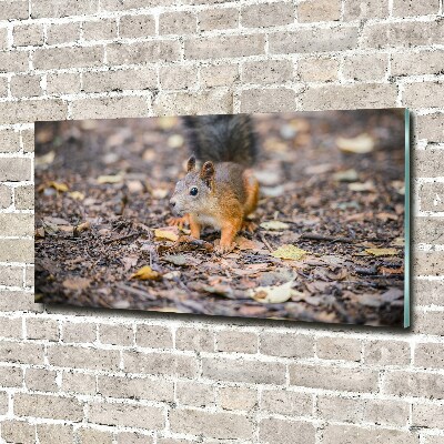 Wall art acrylic Squirrel