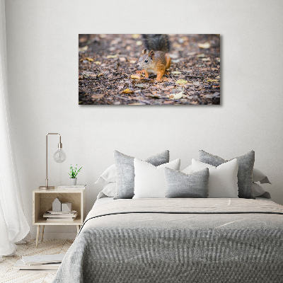 Wall art acrylic Squirrel