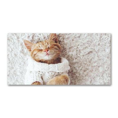 Wall art acrylic A kitten in a sweater