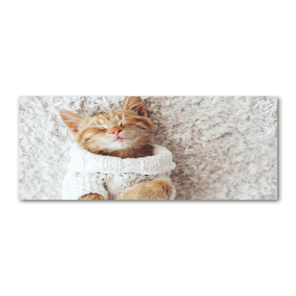 Wall art acrylic A kitten in a sweater