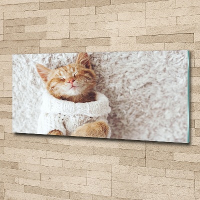 Wall art acrylic A kitten in a sweater