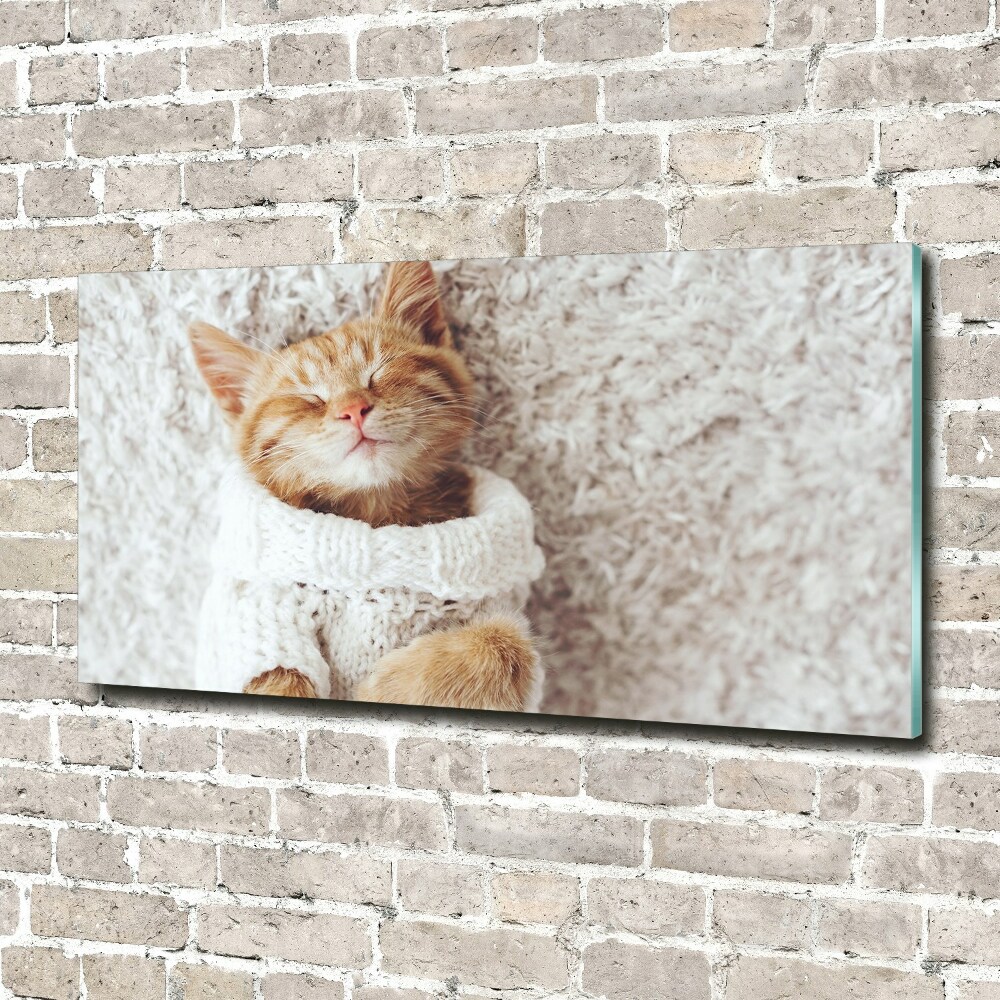 Wall art acrylic A kitten in a sweater