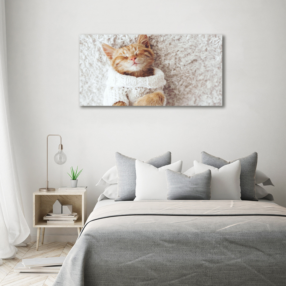 Wall art acrylic A kitten in a sweater