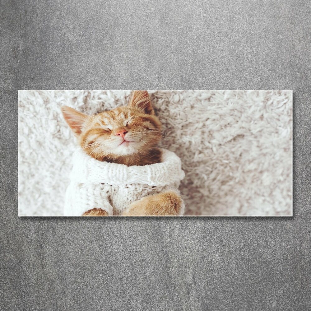 Wall art acrylic A kitten in a sweater