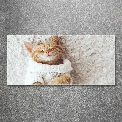 Wall art acrylic A kitten in a sweater