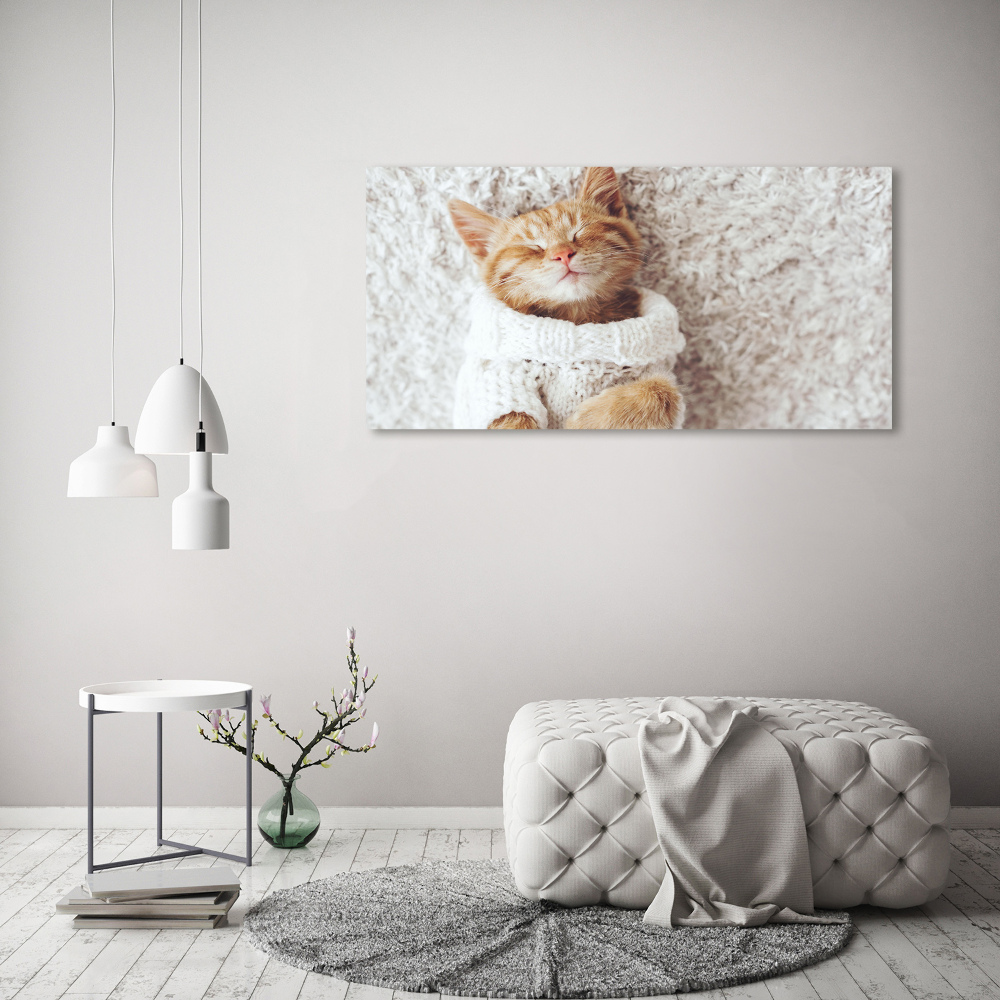 Wall art acrylic A kitten in a sweater