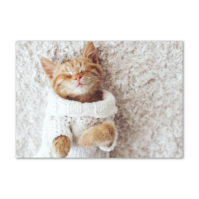 Wall art acrylic A kitten in a sweater