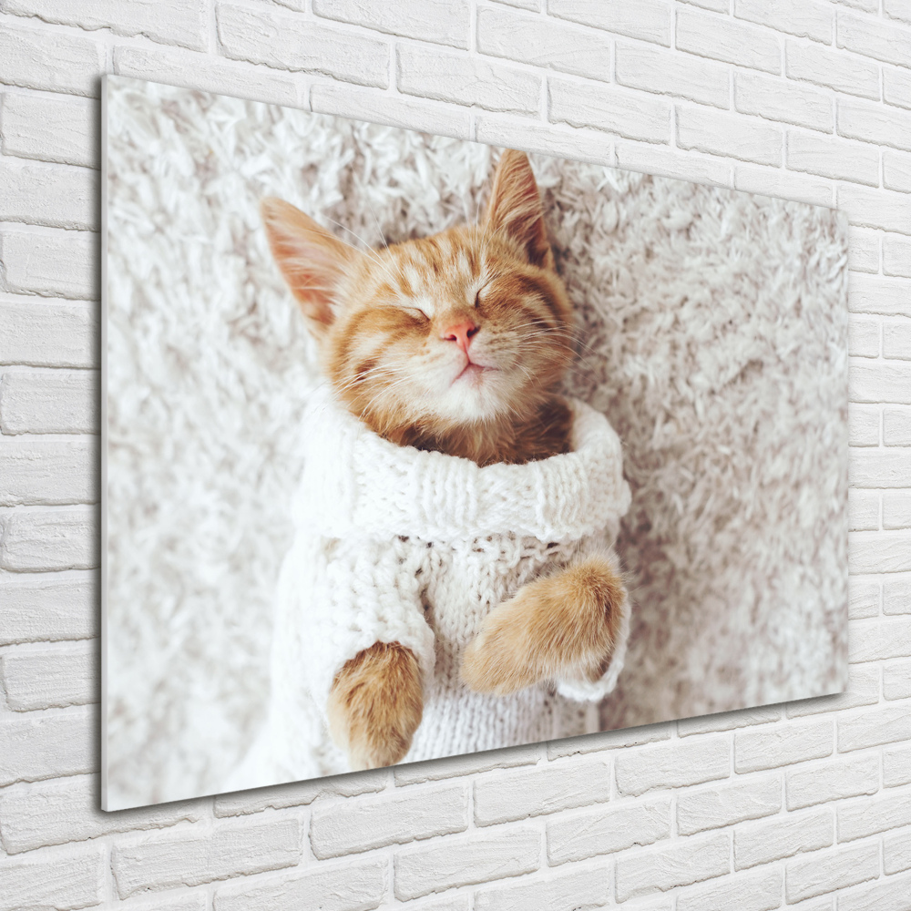 Wall art acrylic A kitten in a sweater