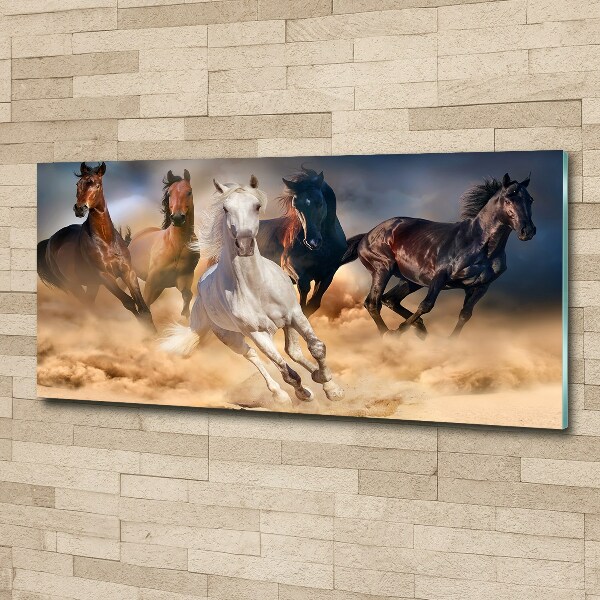 Acrylic wall art Horses at gallop