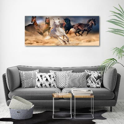 Acrylic wall art Horses at gallop