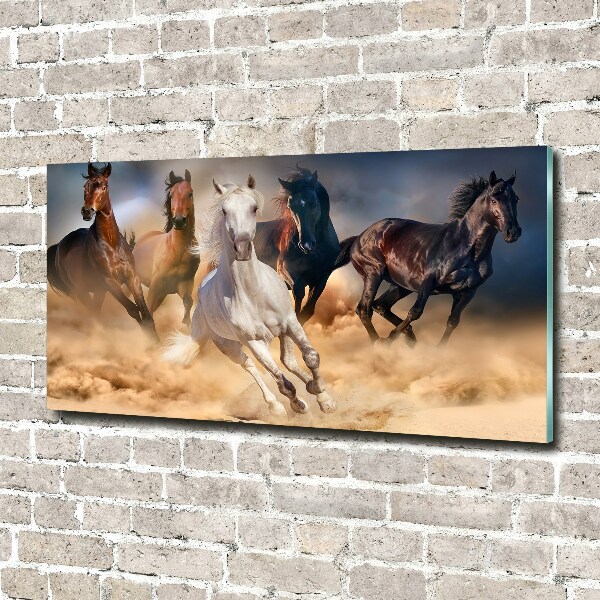 Acrylic wall art Horses at gallop