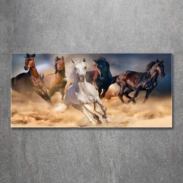 Acrylic wall art Horses at gallop