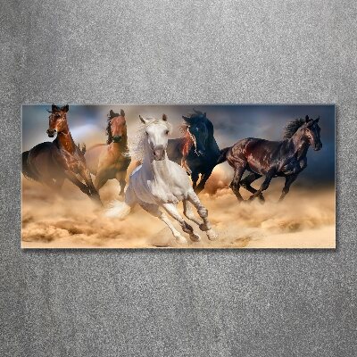 Acrylic wall art Horses at gallop