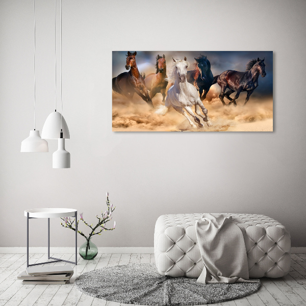 Acrylic wall art Horses at gallop