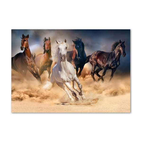 Acrylic wall art Horses at gallop