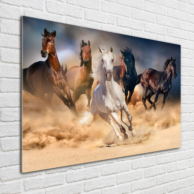 Acrylic wall art Horses at gallop